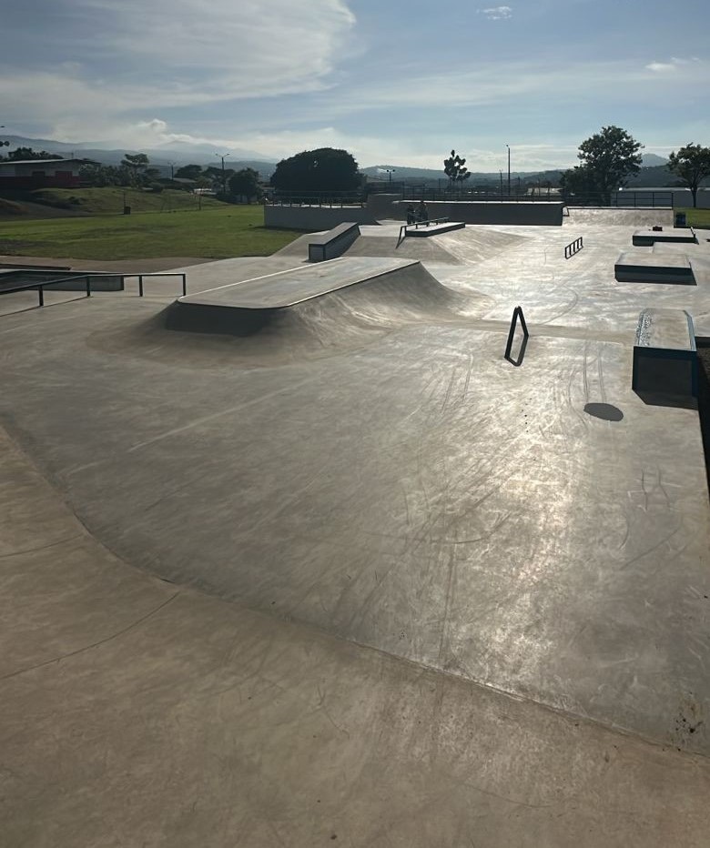 Skater in action