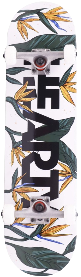 Skateboard 01